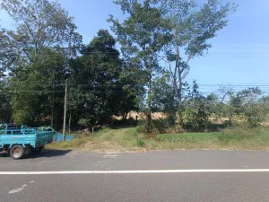 For Sale Land for sale: 9 rai of prime roadside property, beautifully located in Sanom District, Surin Province , nice view , Na Nuan , Sanom , Surin , CX-135521