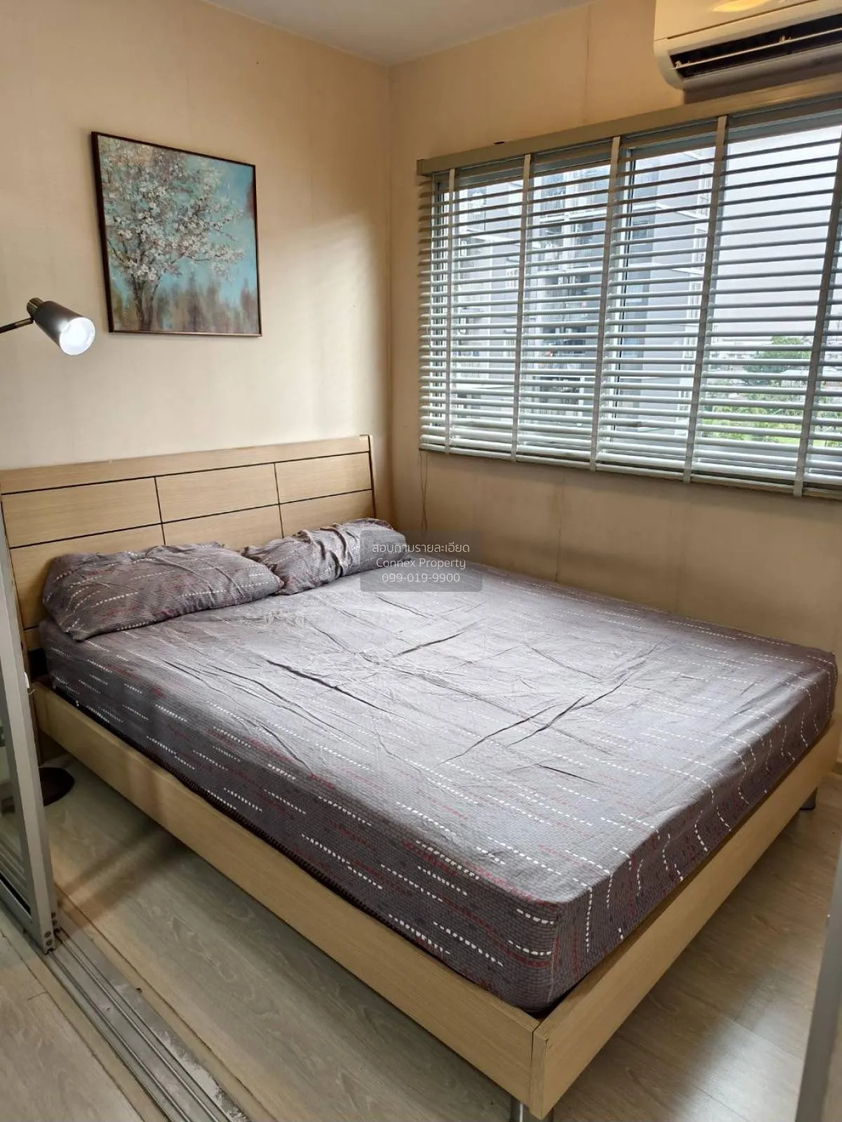 For Rent Condo , Plum Condo Park Rangsit  phase 1-3 , Khlong Nuen 4