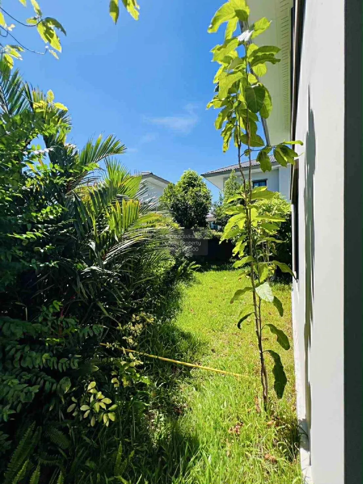 For Sale House , Passorn Chaengwattana-Chaiyapruek , wide frontag 3