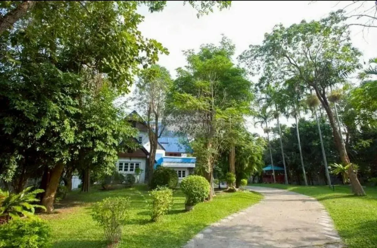 ขายบ้าน 3 ชั้น พื้นที่ 1-3-85  ตรว. โพธิ์กลาง นครราชสีมา โพธิ์กลา 3