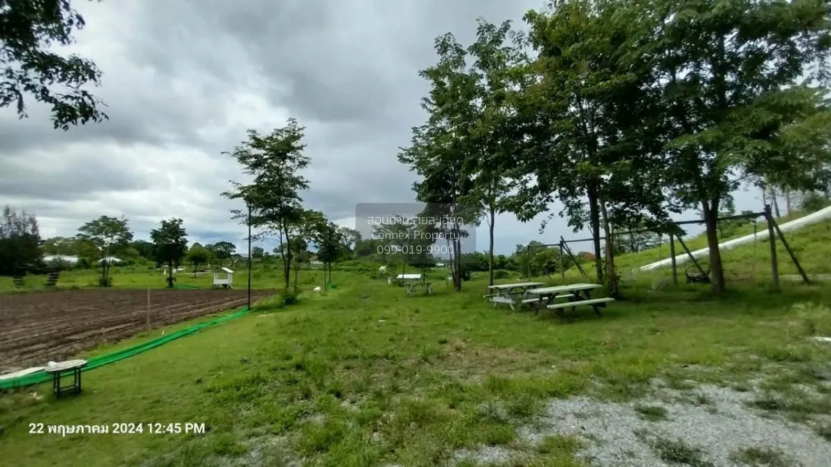 For Sale Land in Mu Si, Khao Yai , nice view , Mu Si , Pak Chong 