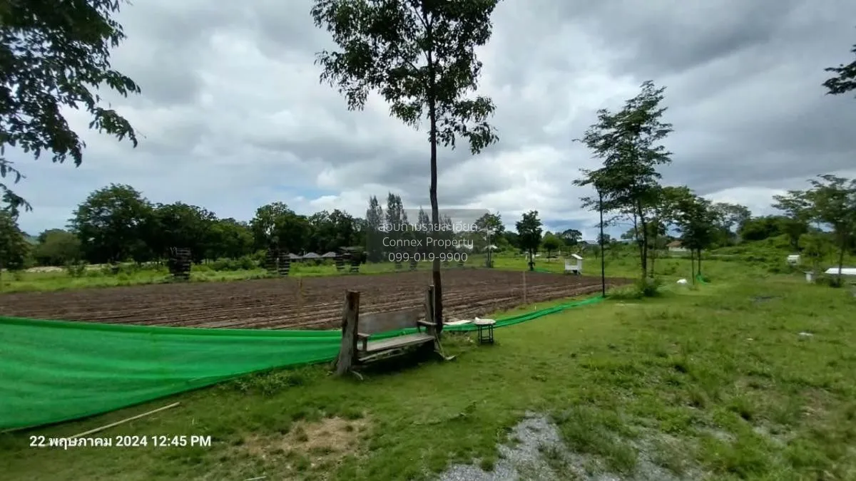 เช่าที่ดินหมูสี @เขาใหญ่ วิวสวย หมูสี ปากช่อง นครราชสีมา CX-13567