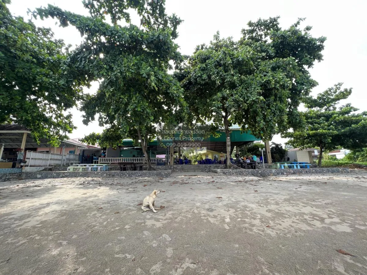 For Sale land with resort business, nice view , wide frontage , C