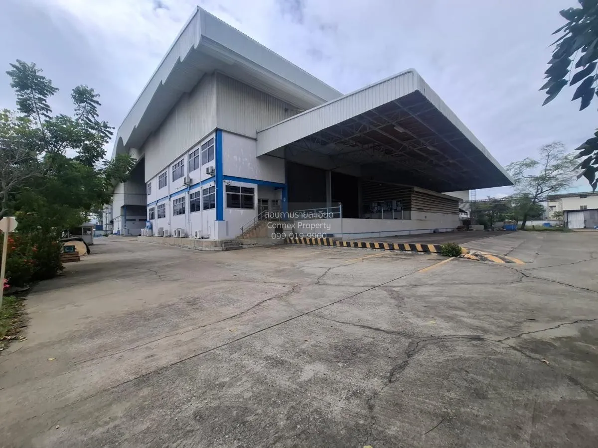 For Rent Warehouse / Factory for Rent in Purple Zone , Bang Sao T 2