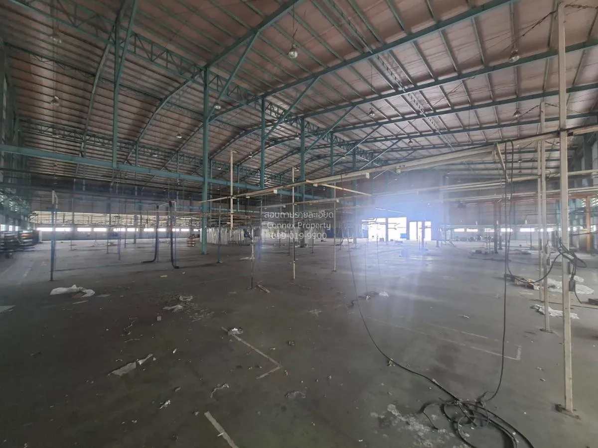 For Rent Warehouse / Factory for Rent in Purple Zone , Bang Sao T