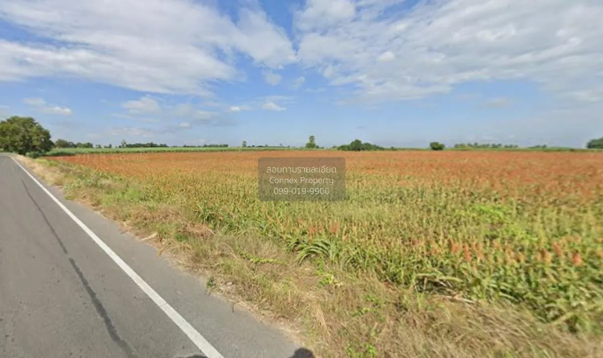 For Sale Large plot of land with a beautiful view, 208-1-90 rai, 