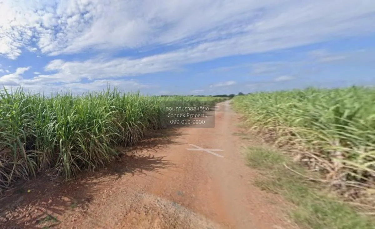 For Sale Large plot of land with a beautiful view, 208-1-90 rai, 