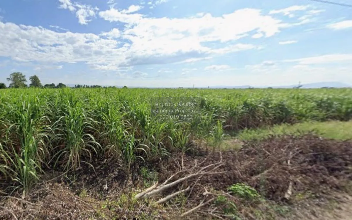 For Sale Large plot of land with a beautiful view, 208-1-90 rai, 