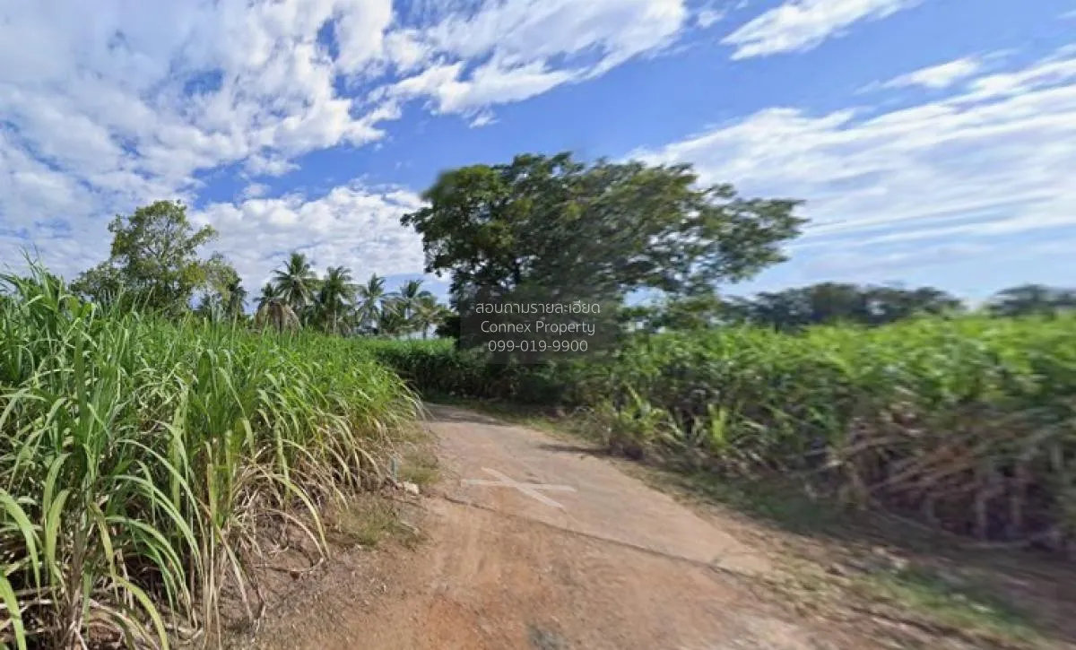 For Sale Large plot of land with a beautiful view, 208-1-90 rai, 