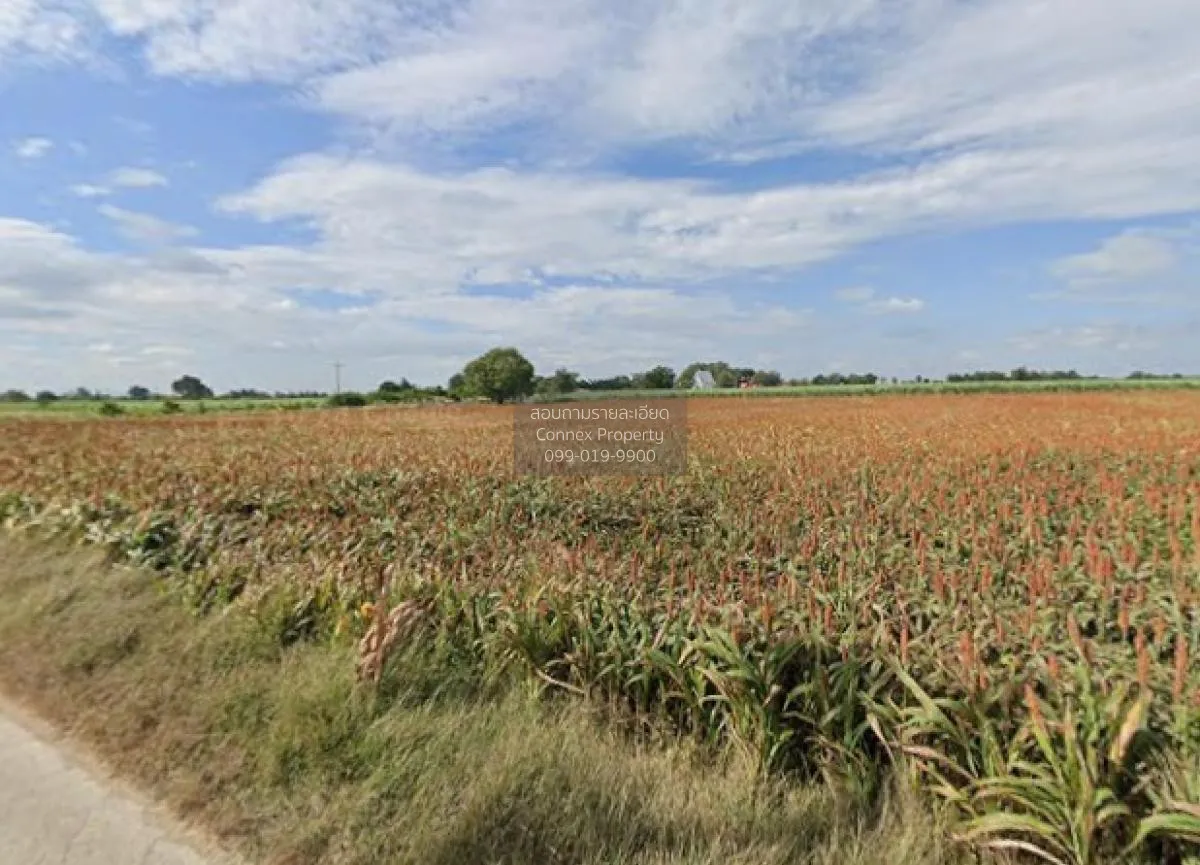 For Sale Large plot of land with a beautiful view, 208-1-90 rai, 