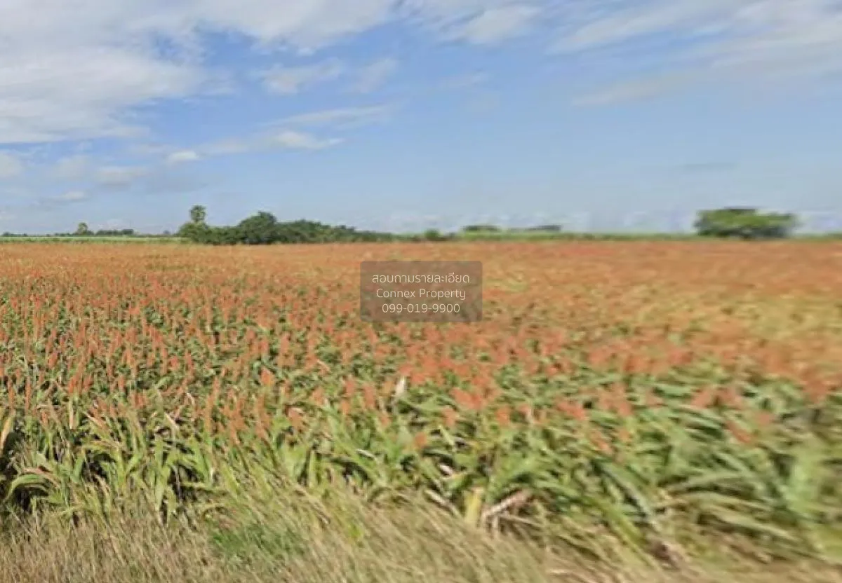 For Sale Large plot of land with a beautiful view, 208-1-90 rai, 
