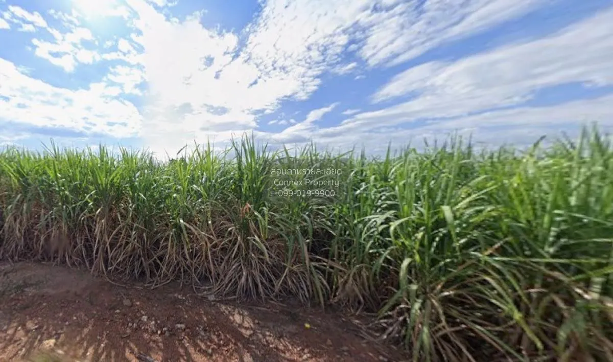 For Sale Large plot of land with a beautiful view, 208-1-90 rai, 