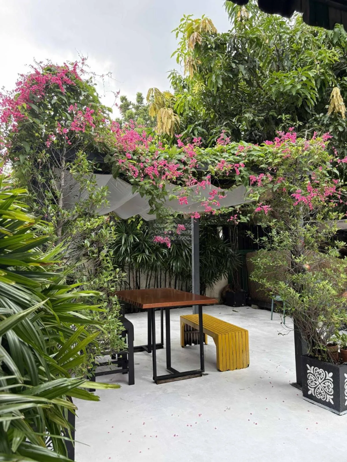 For Rent Chidlom Cozy home , Makkasan , Rat Thewi , Bangkok , CX- 4