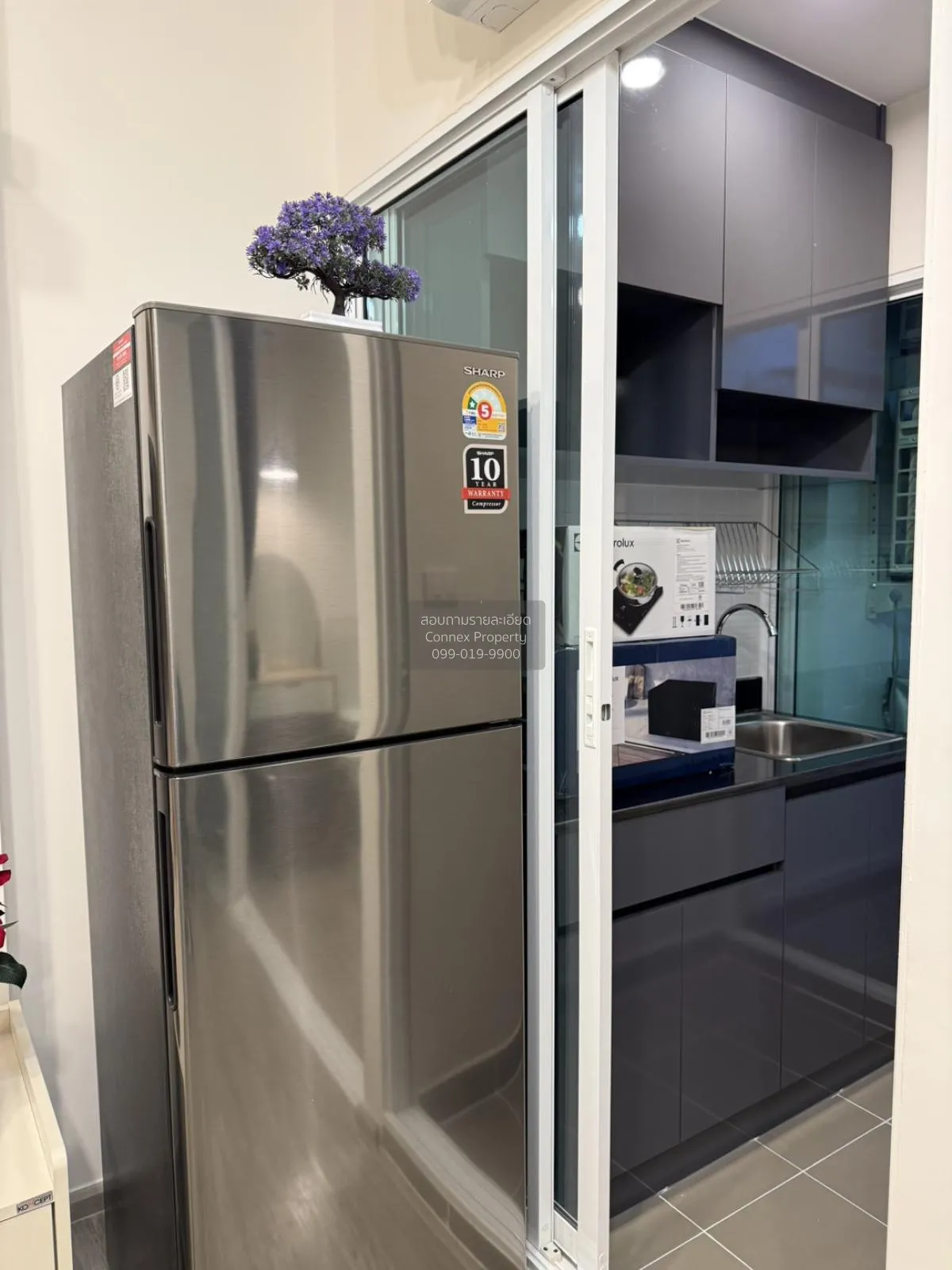 For Rent Condo , Regent Home Bangna (New Project) , Bang Na , Ban 4