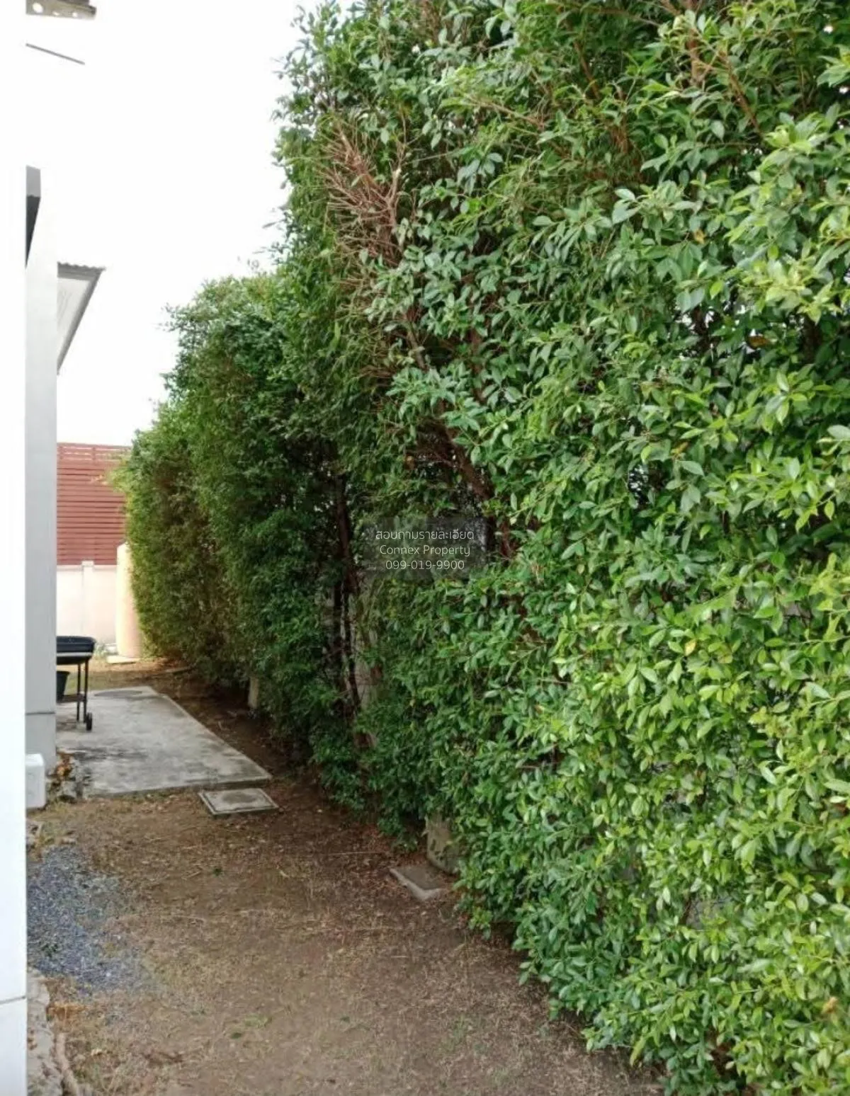 เช่าบ้าน  เดอะ เซนโทร รามอินทรา หน้ากว้าง คันนายาว เขต คันนายาว ก