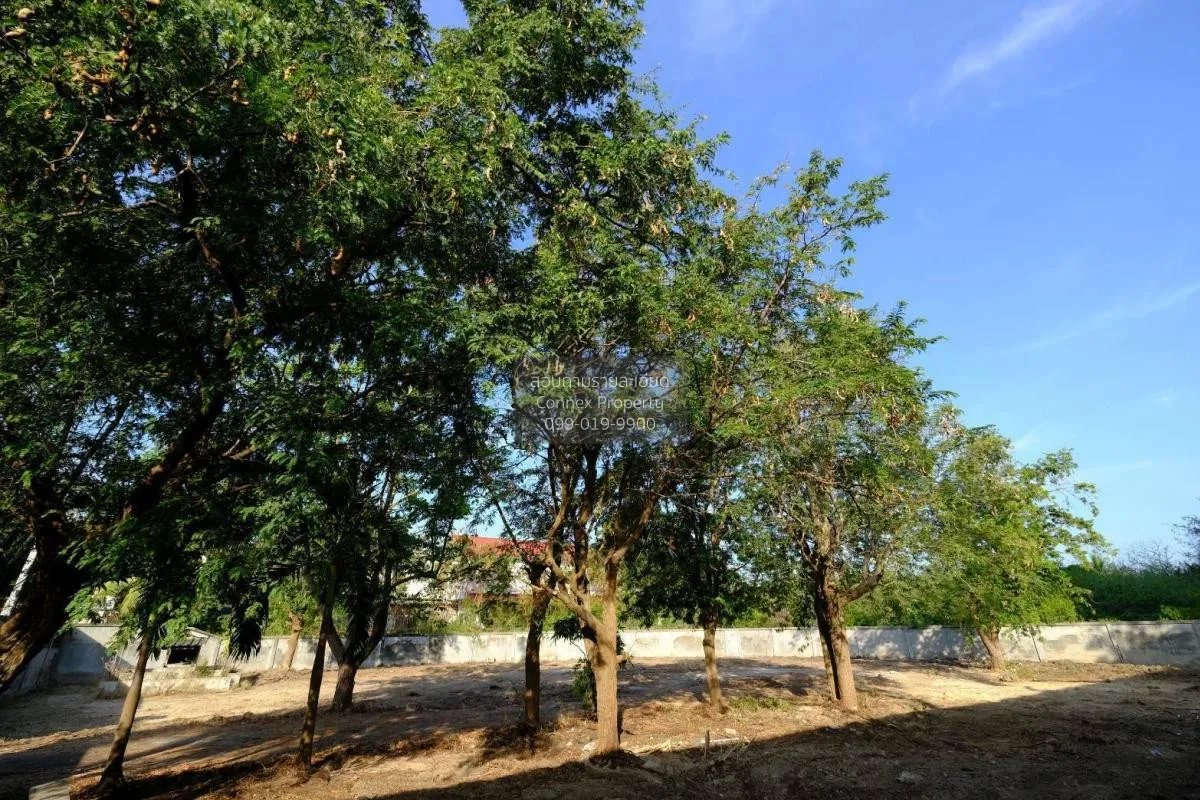 Land for sale, 354 sq. wah, near Cha-am Beach, Phetchaburi, CX-13