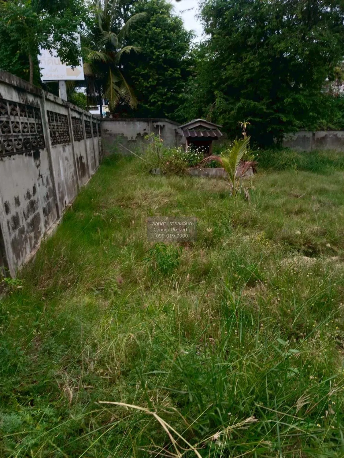 Land for sale, 354 sq. wah, near Cha-am Beach, Phetchaburi, CX-13