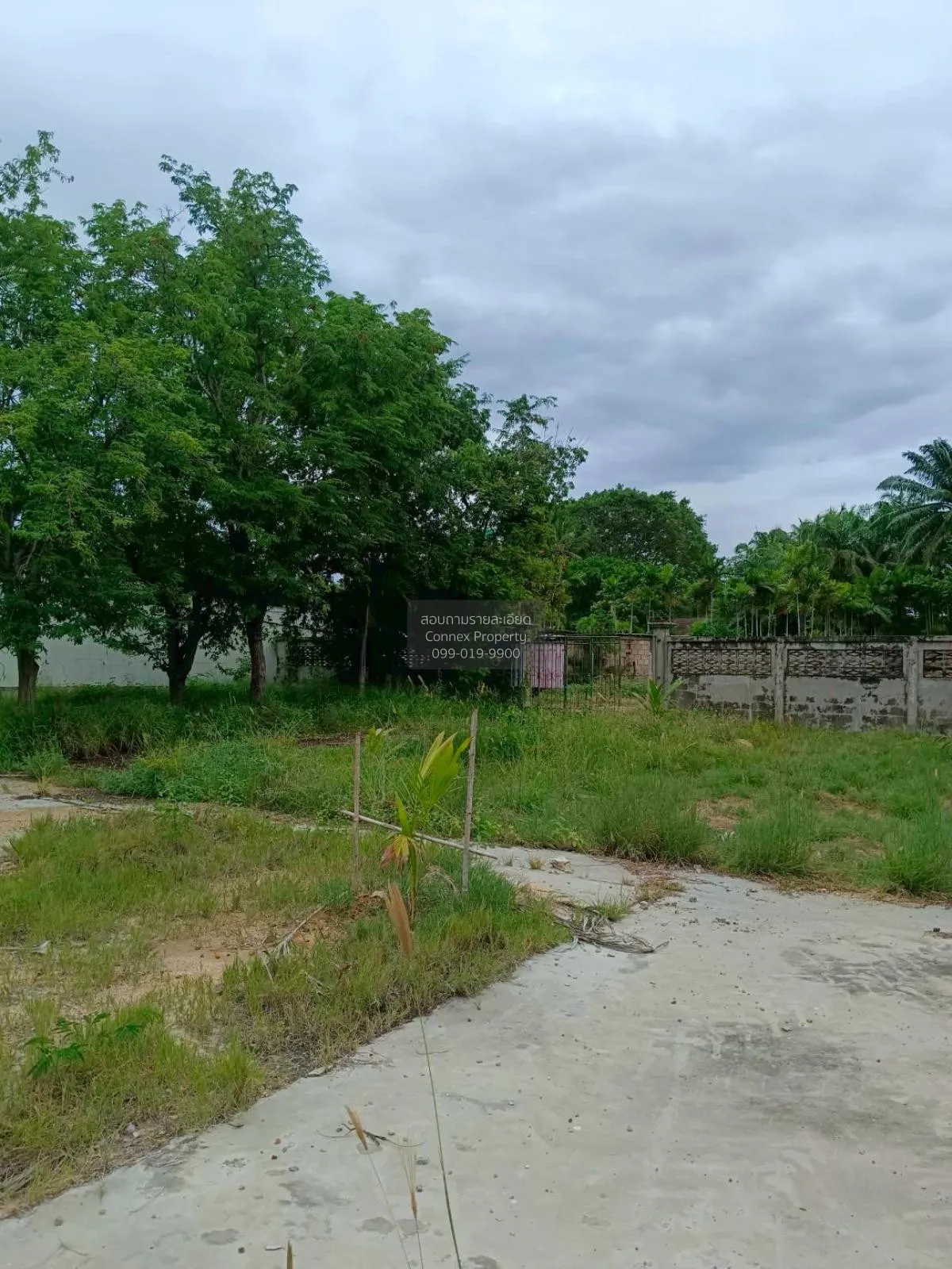 Land for sale, 354 sq. wah, near Cha-am Beach, Phetchaburi, CX-13