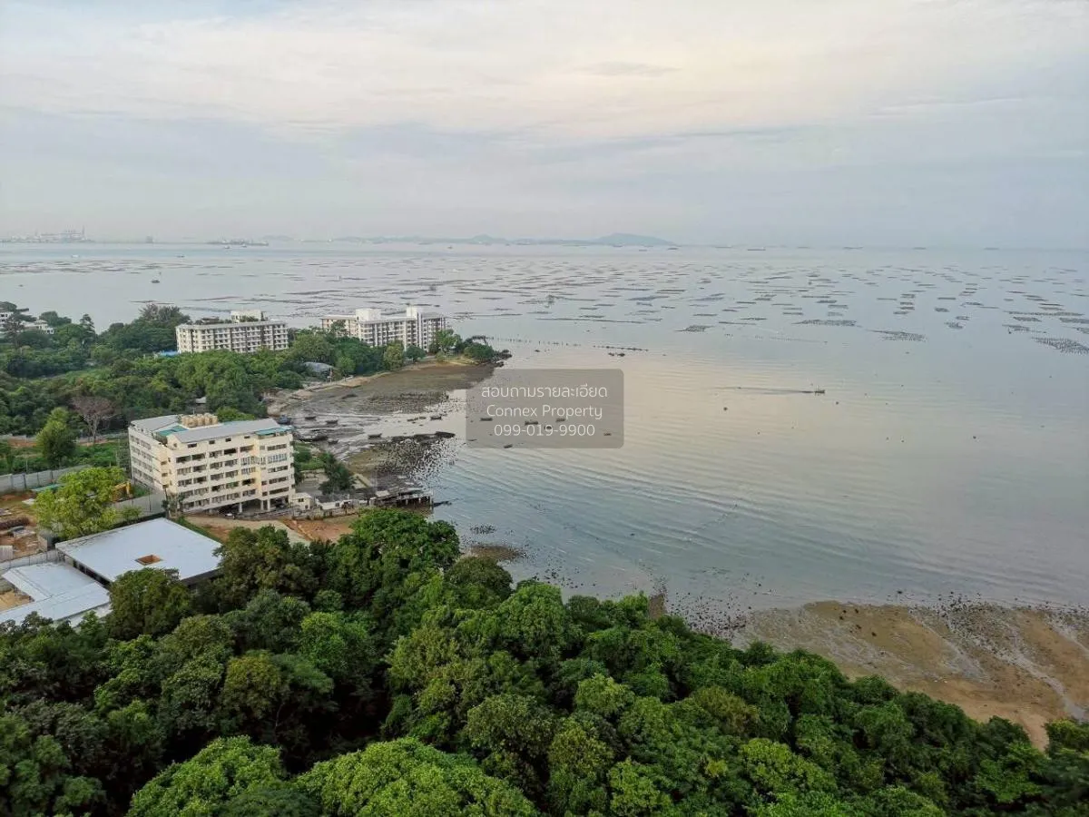 เช่าคอนโด  เดอะ ซี ศรีราชา บางพระครู ศรีราชา ชลบุรี CX-137172