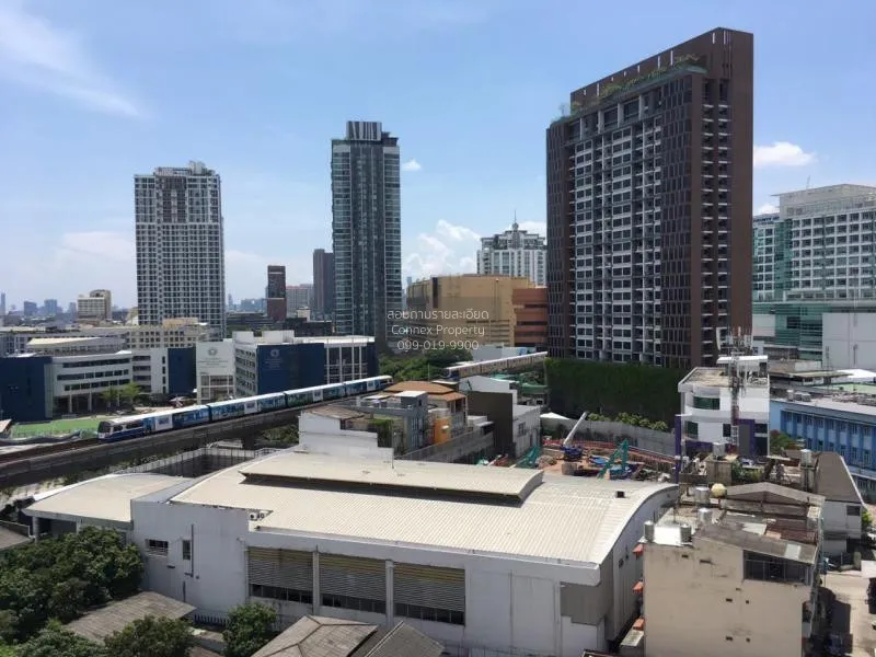 เช่าคอนโด  ไลฟ์ แอท สุขุมวิท 65 BTS-เอกมัย พระโขนงเหนือ เขต วัฒนา