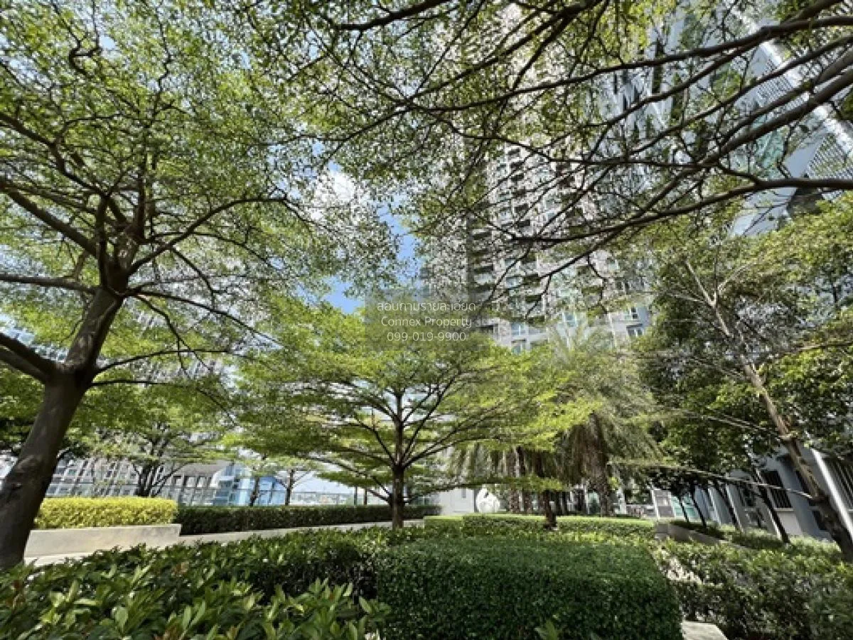 ขายคอนโด  ริทึ่ม สุขุมวิท 50 วิวสวย ห้องมุม BTS-อ่อนนุช พระโขนง เ