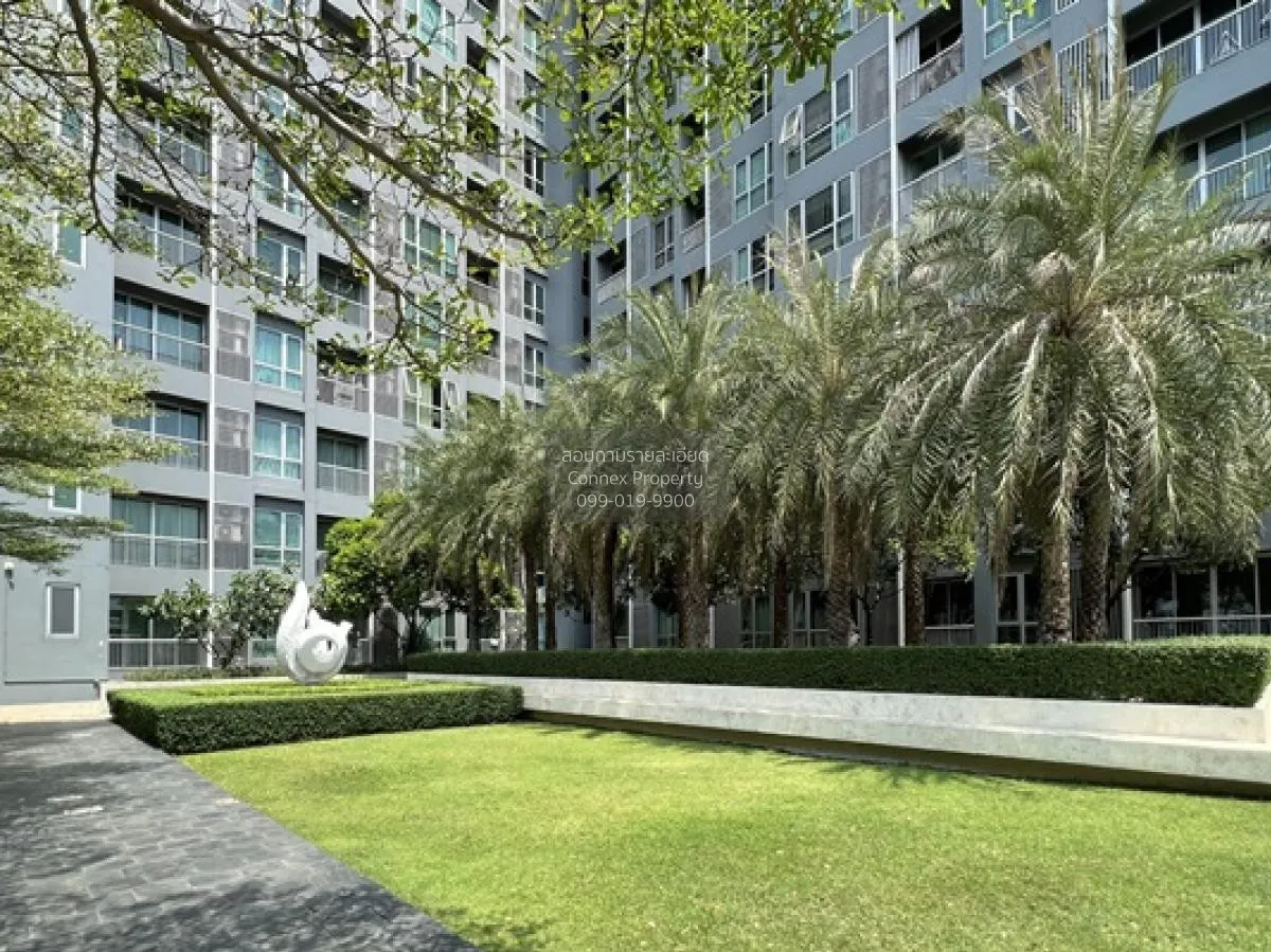 ขายคอนโด  ริทึ่ม สุขุมวิท 50 วิวสวย ห้องมุม BTS-อ่อนนุช พระโขนง เ