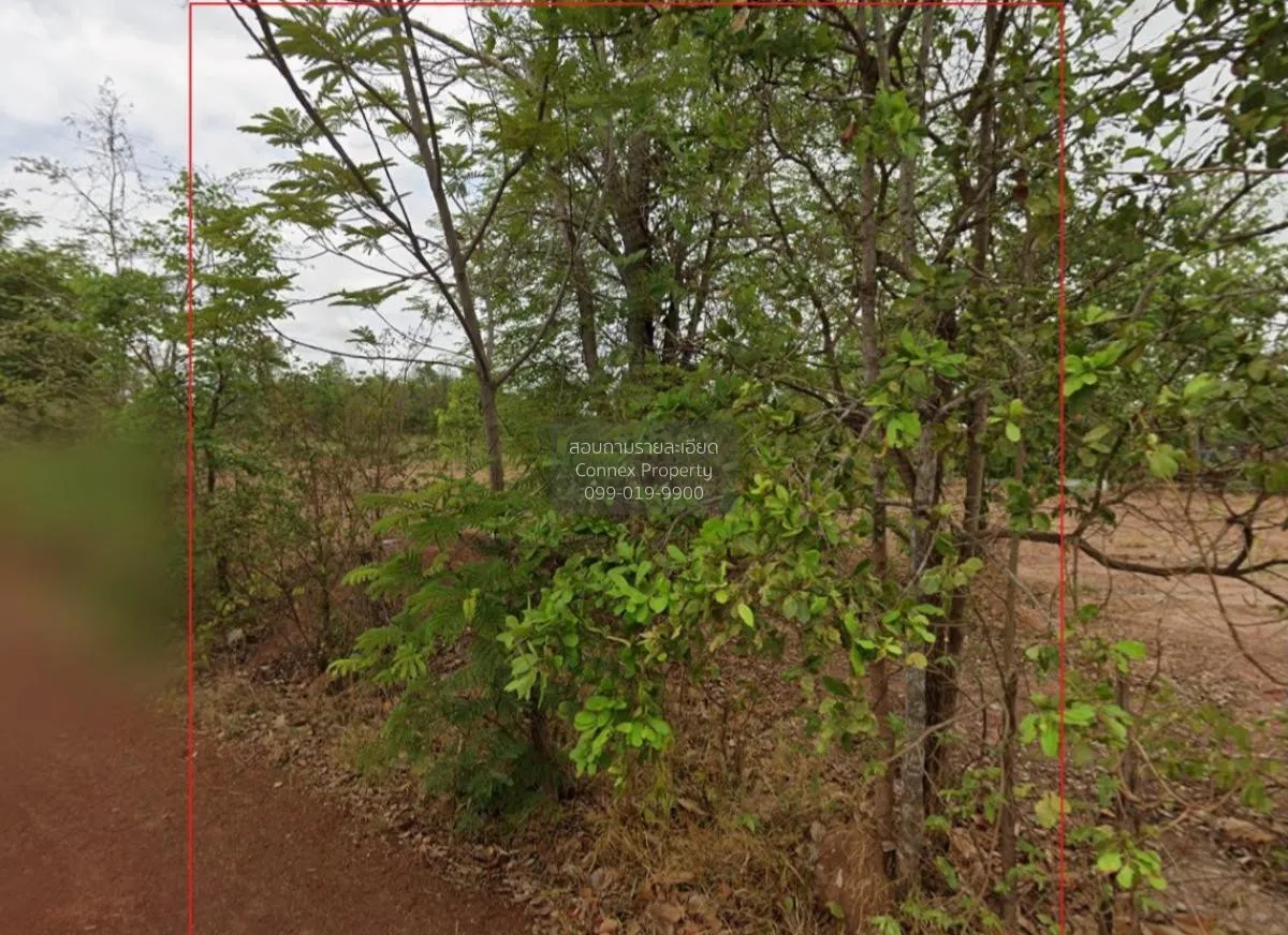 For Sale A vacant land of 41 rai in Wanorn Niwat District, Sakon  2