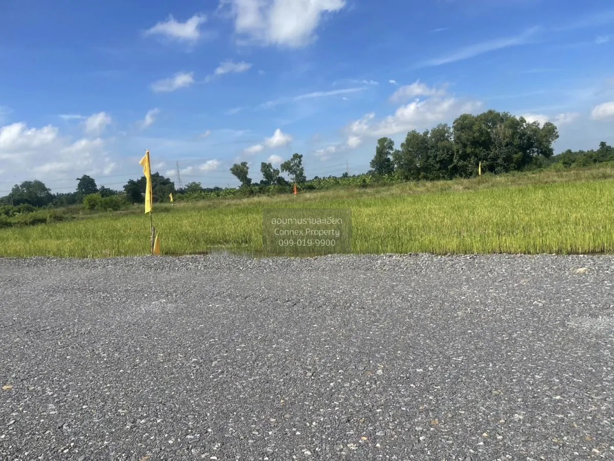 ขายที่ดินเปล่า 3 งาน 99 ตร.วา  อ.หนองเสือ ปทุมธานี     บึงกาสาม ห 2