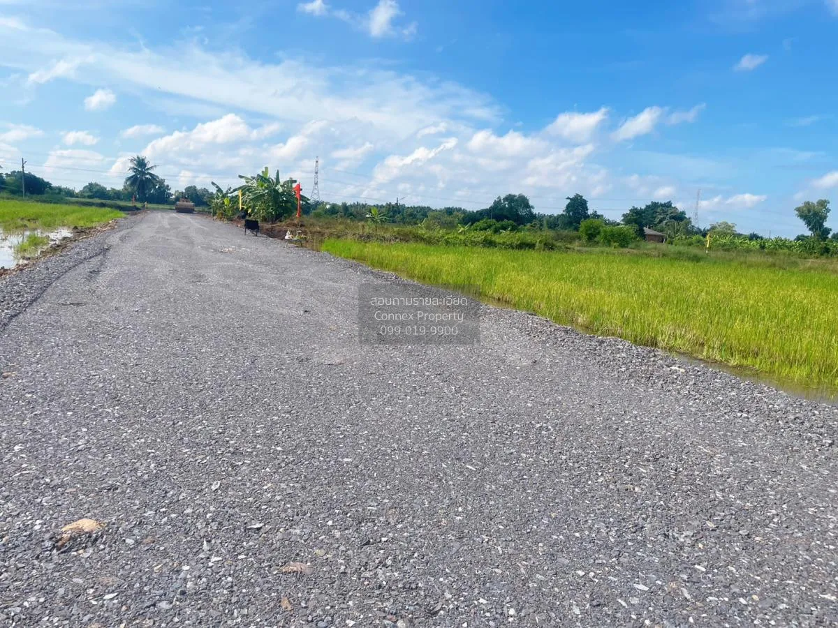 ขายที่ดินเปล่า 3 งาน 99 ตร.วา  อ.หนองเสือ ปทุมธานี     บึงกาสาม ห 4