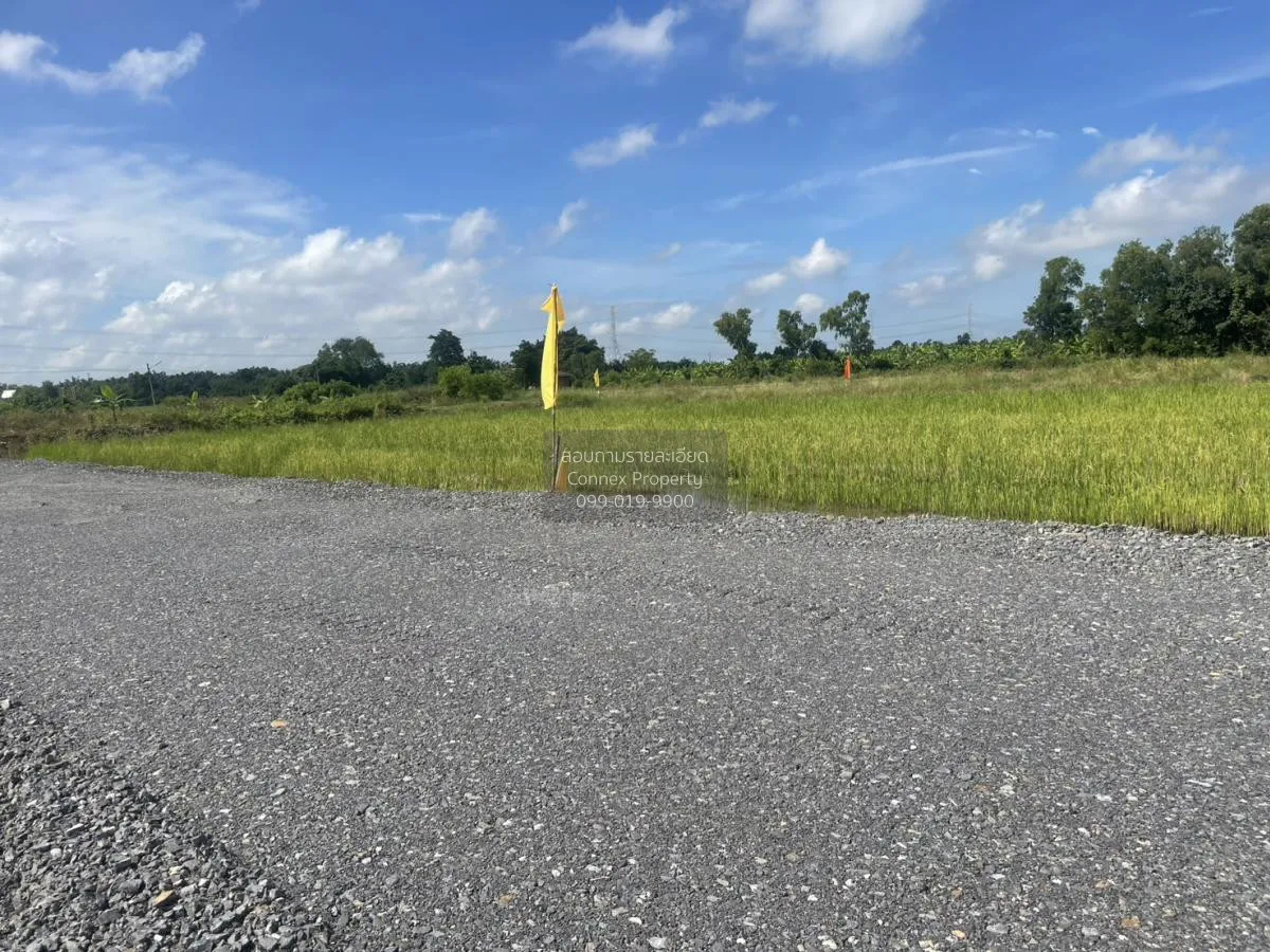 ขายที่ดินเปล่า 3 งาน 99 ตร.วา  อ.หนองเสือ ปทุมธานี     บึงกาสาม ห