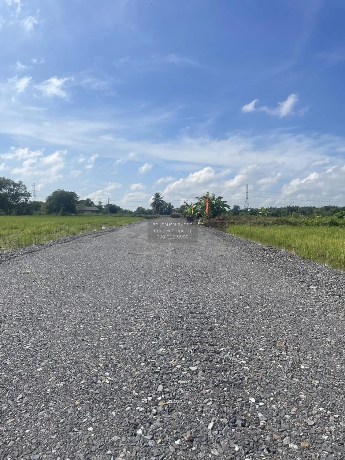 ขายที่ดินเปล่า 3 งาน 99 ตร.วา  อ.หนองเสือ ปทุมธานี     บึงกาสาม ห