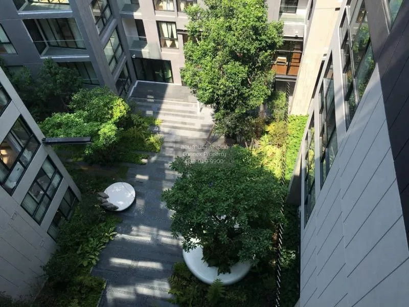 เช่าคอนโด  ลิฟ แอท 49 BTS-ทองหล่อ คลองตันเหนือ เขต วัฒนา กรุงเทพ 