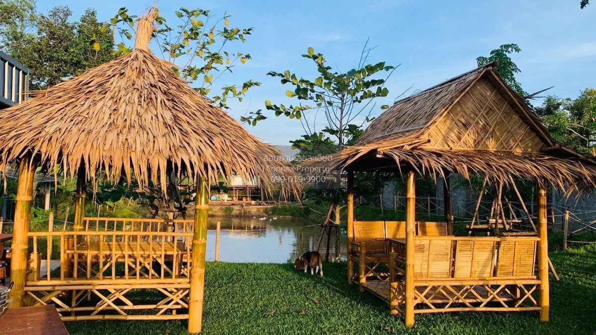 Let see Stars Resort Business for Sale - Ready for immediate take