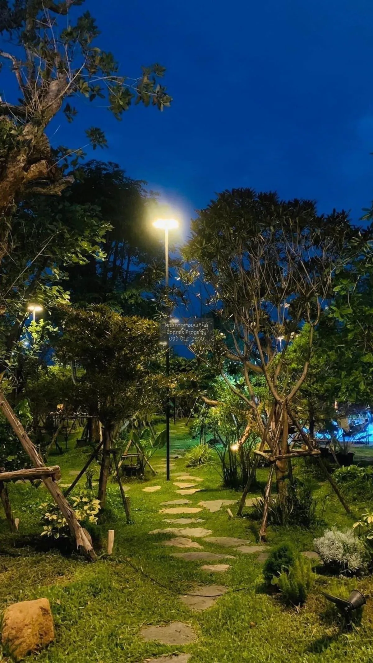 Let see Stars Resort Business for Sale - Ready for immediate take