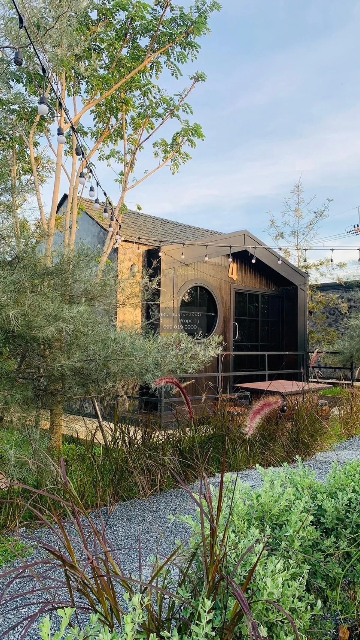 Let see Stars Resort Business for Sale - Ready for immediate take