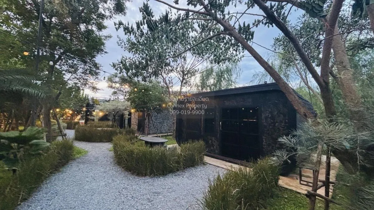 Let see Stars Resort Business for Sale - Ready for immediate take