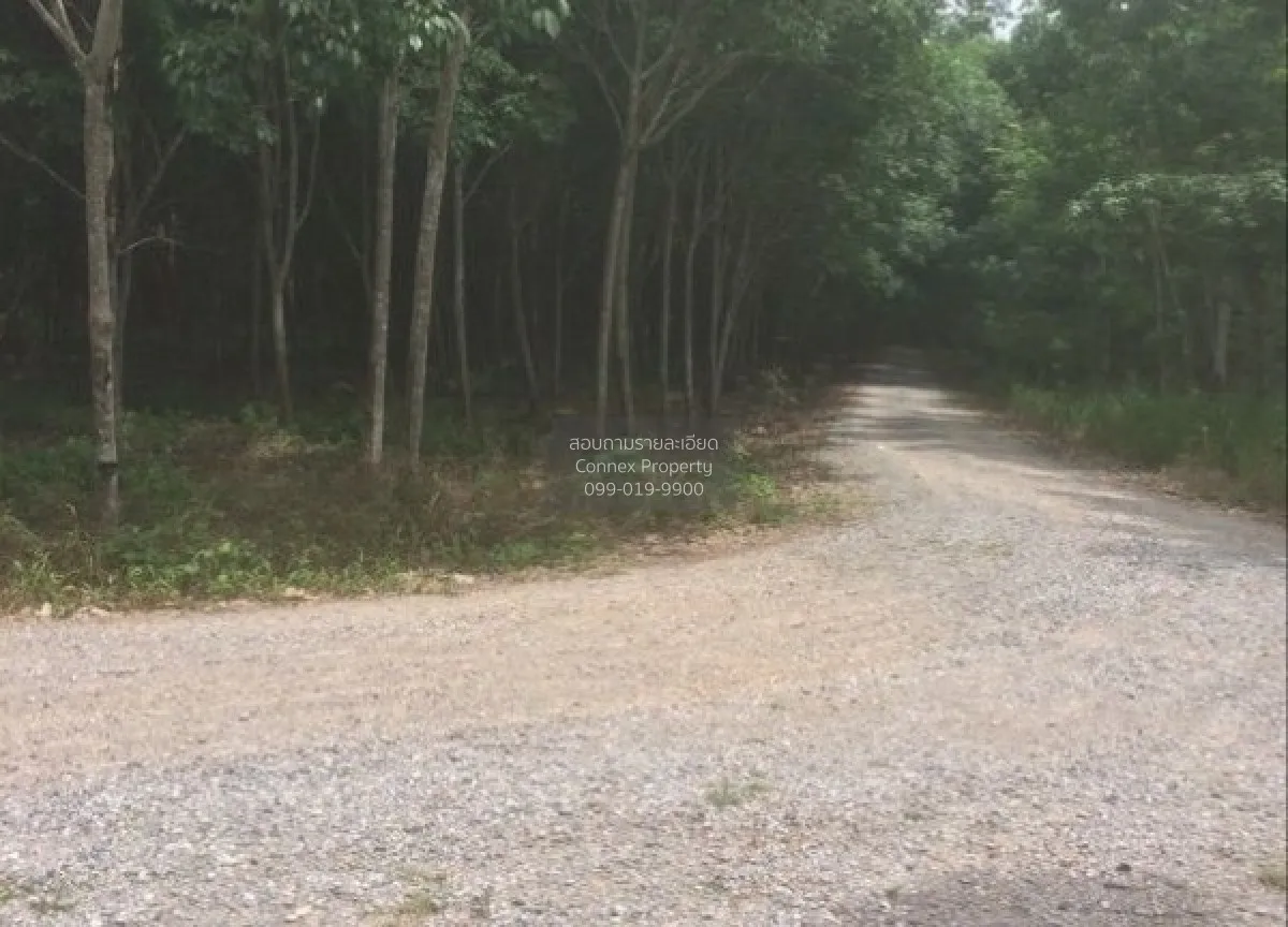 For Sale 103 Rai Rubber Plantation with Red Garuda Title Deed in 