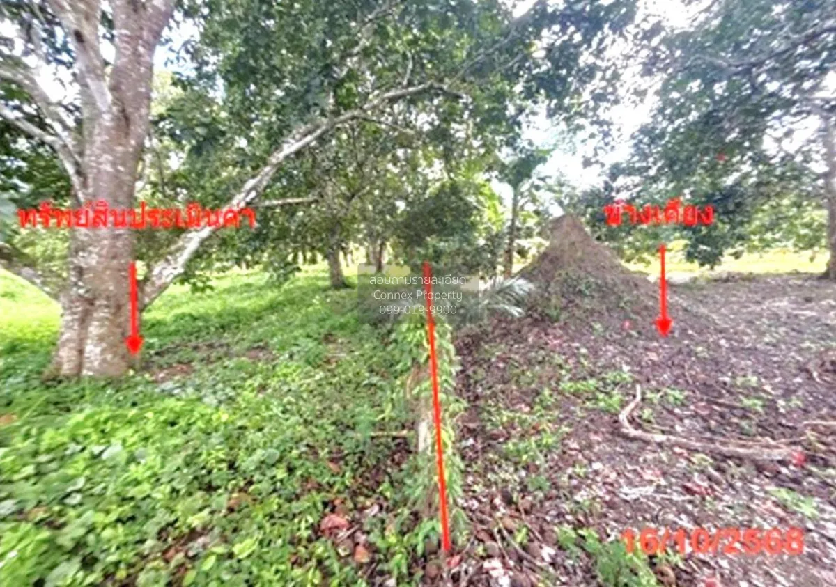For Sale land area 0-3-79.50 square wah Khlong Noi Surat Thani ,  4