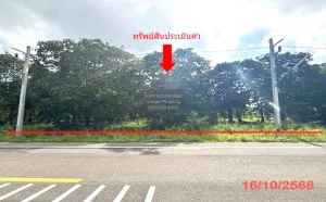 For Sale land area 0-3-79.50 square wah Khlong Noi Surat Thani , Khlong Noi , Mueang Surat Thani , Surat Thani , CX-137986