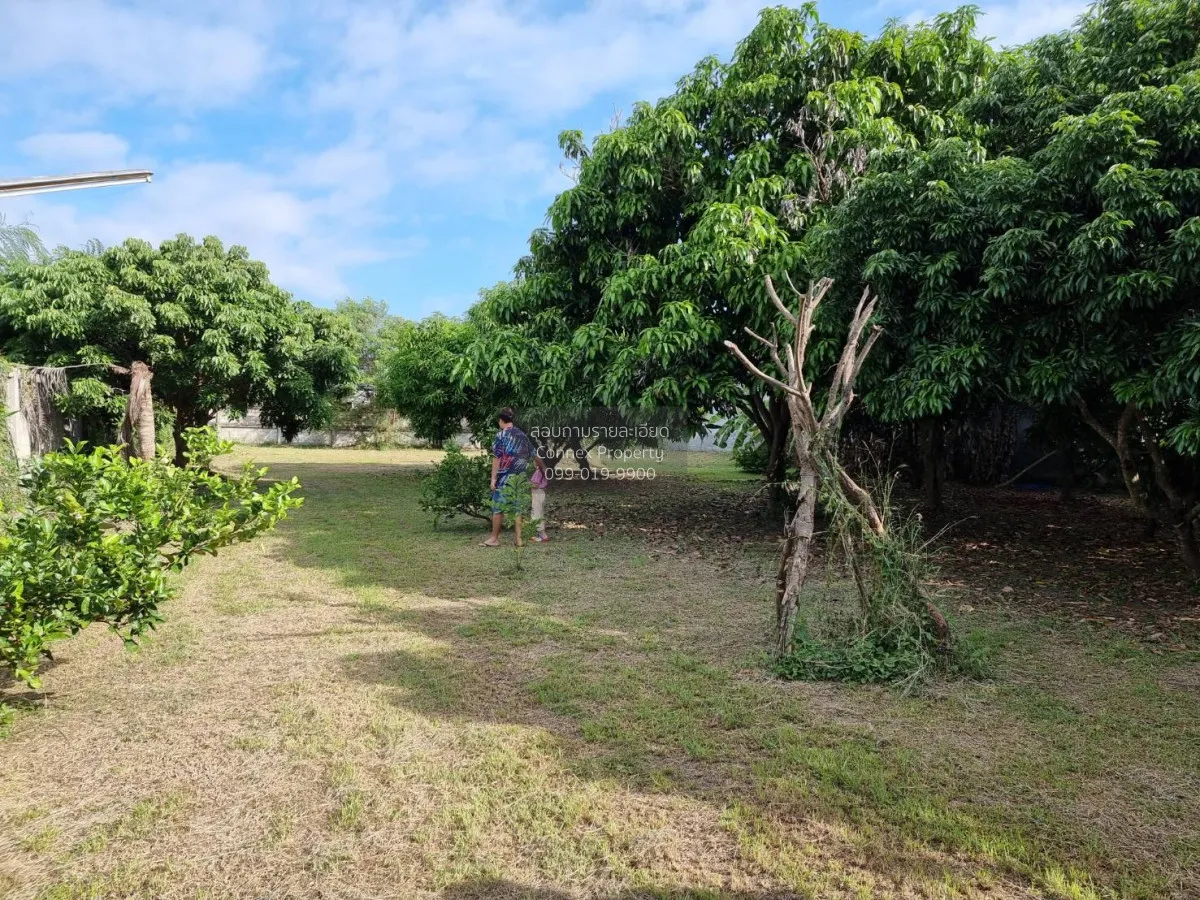 ขายบ้านเดี่ยว 2 ชั้น โคราช ตำบลหัวทะเล หัวทะเล เมืองนครราชสีมา นค 2