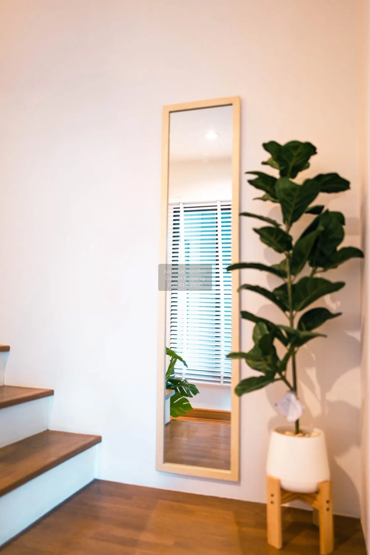 เช่าทาวน์เฮ้าส์/ทาวน์โฮม  พลีโน่ สุขุมวิท-บางนา วิวสวย บางแก้ว บา