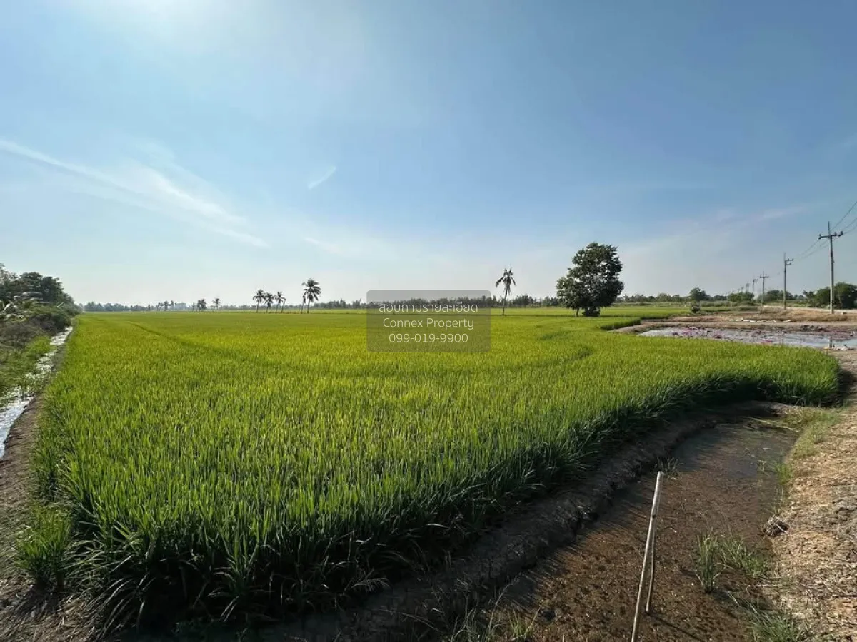 ขายที่ดิน 30 ไร่ ทำเลดี ใกล้ลาดกระบัง-สุวรรณภูมิ  อ.เมืองฉะเชิงเท 2