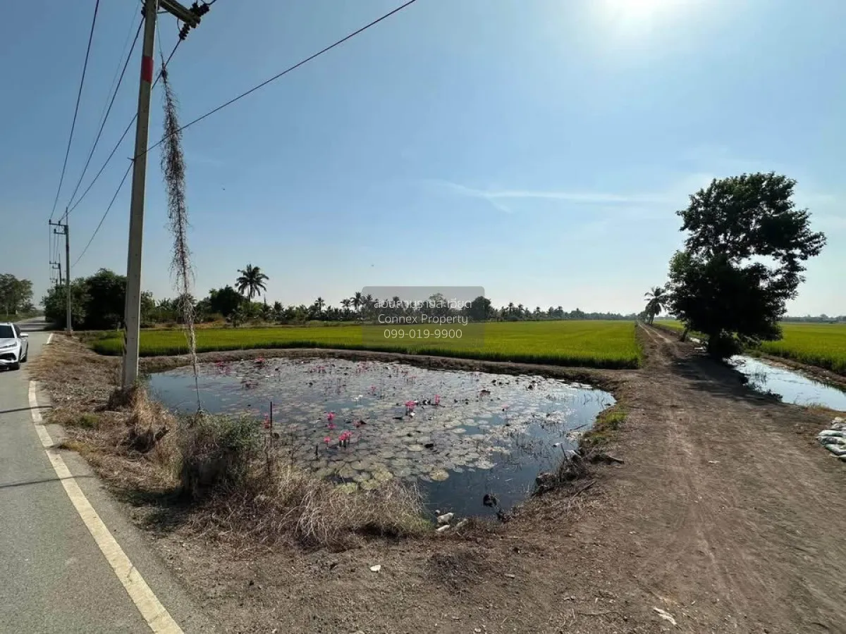 ขายที่ดิน 30 ไร่ ทำเลดี ใกล้ลาดกระบัง-สุวรรณภูมิ  อ.เมืองฉะเชิงเท 4