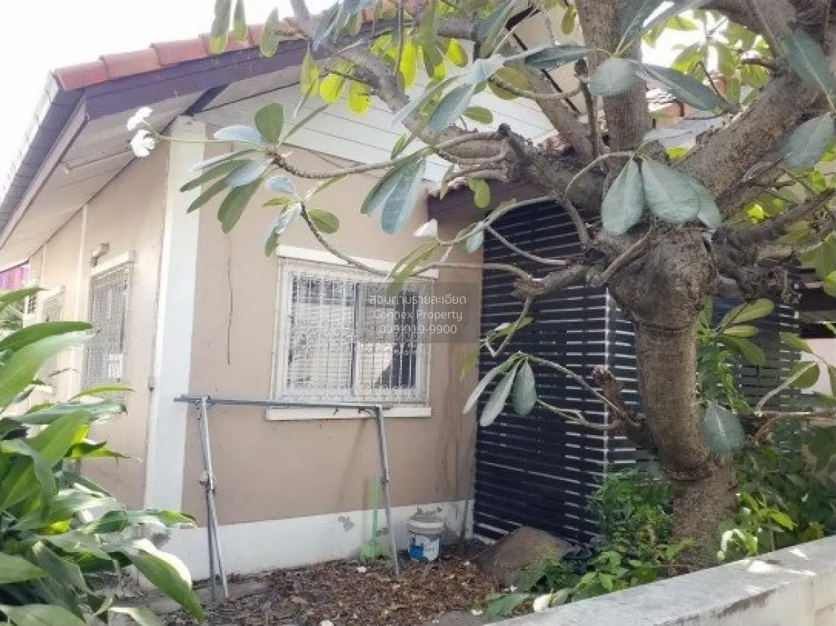 For Sale 1 - storey detached house area 52.20 square wah Sriracha 3