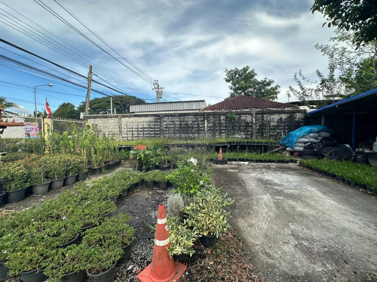 ขายบ้านเดี่ยว 2 ชั้น 5-0-40 ไร่ บางกรวย - ไทรน้อย นนทบุรี บางกร่า