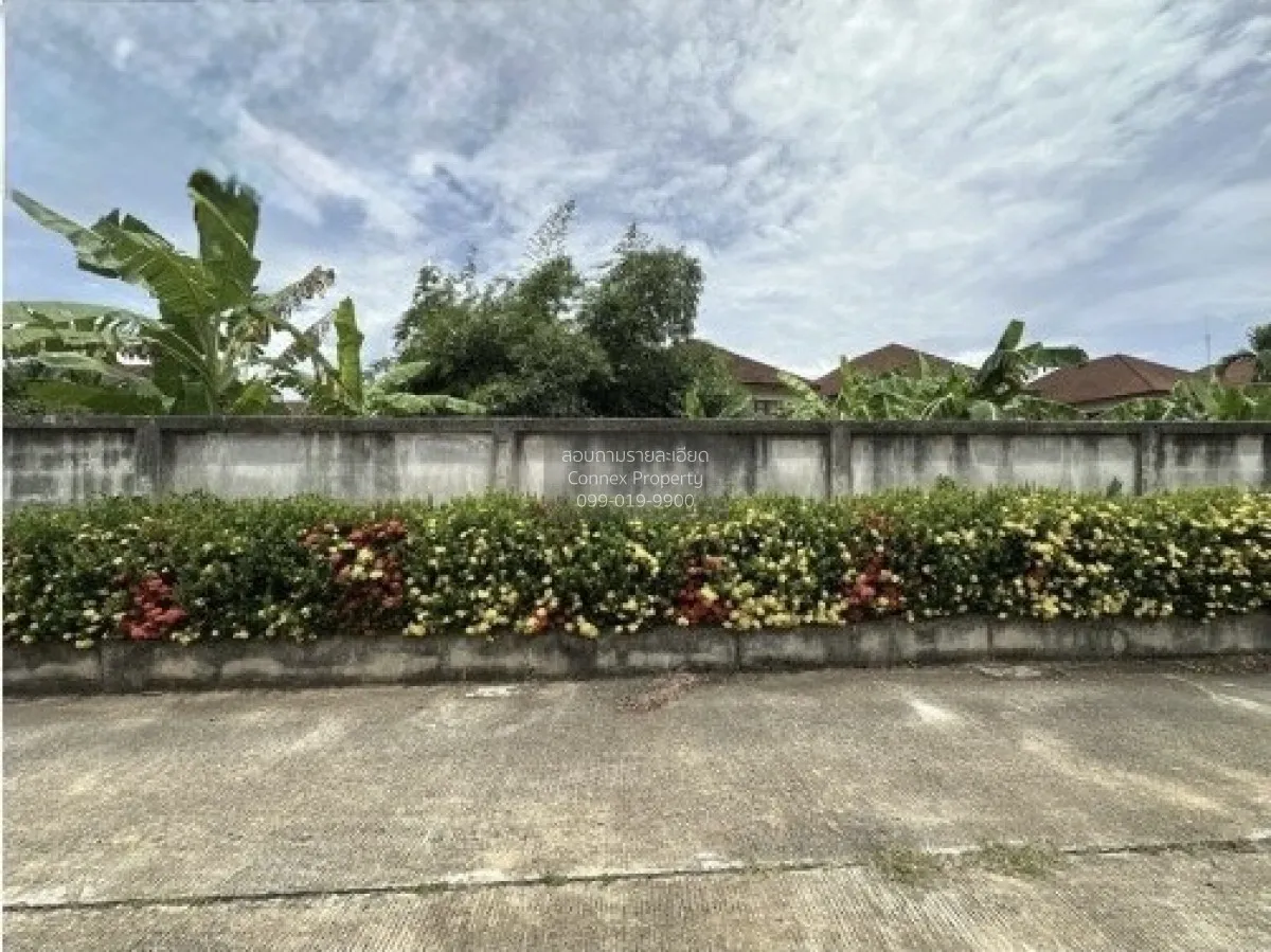 For Sale land area 1-0-79.80 square wah Muang Surat Thani Surat T 2