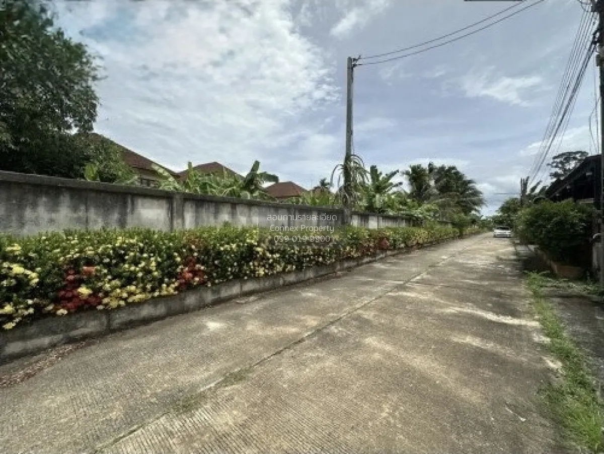 For Sale land area 1-0-79.80 square wah Muang Surat Thani Surat T 3