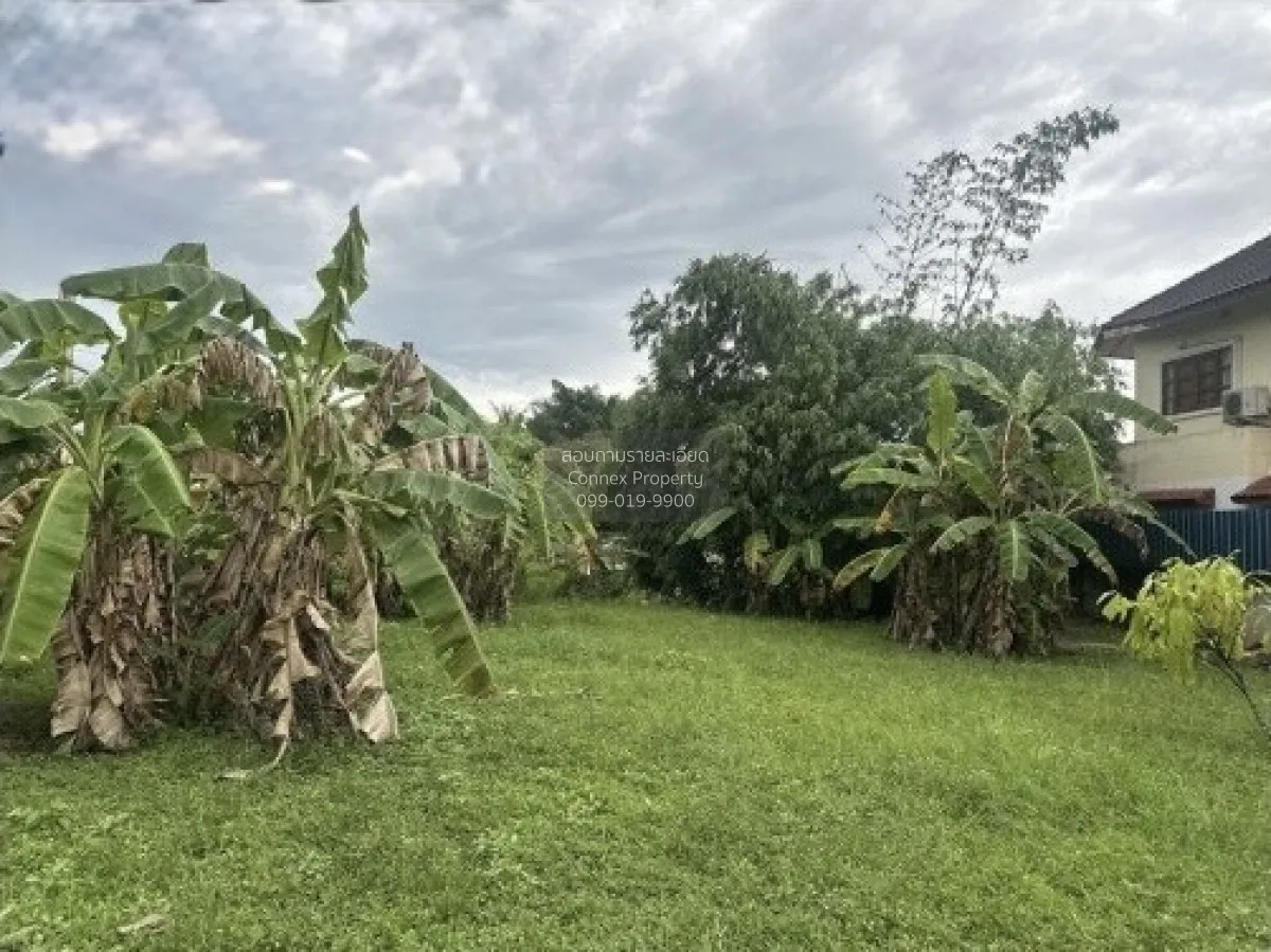 For Sale land area 1-0-79.80 square wah Muang Surat Thani Surat T 4