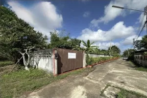 For Sale land area 1-0-79.80 square wah Muang Surat Thani Surat Thani , Makham Tia , Mueang Surat Thani , Surat Thani , CX-138484