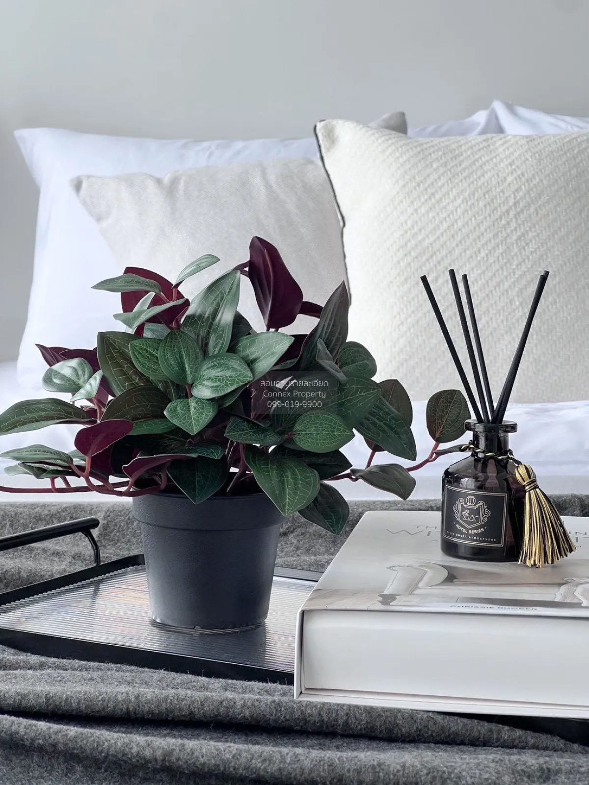 For Rent Condo , Monte RSU , Lak Hok , Mueang Pathum Thani , Path